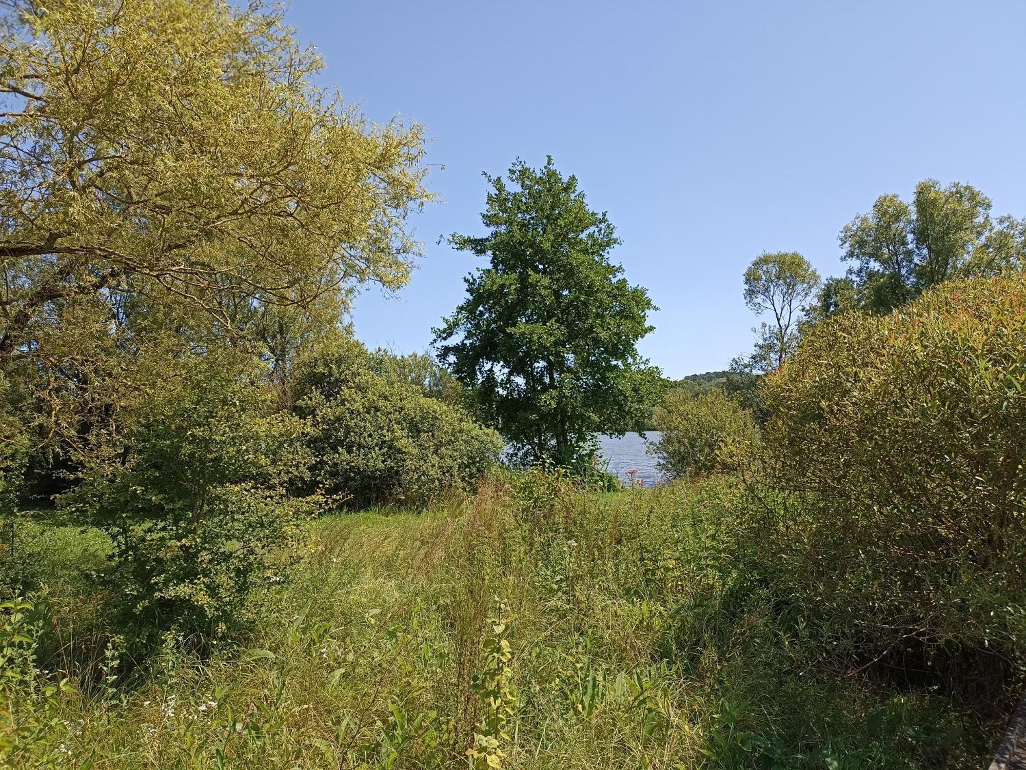 Gite Nature Et Detente Aubréville Kültér fotó
