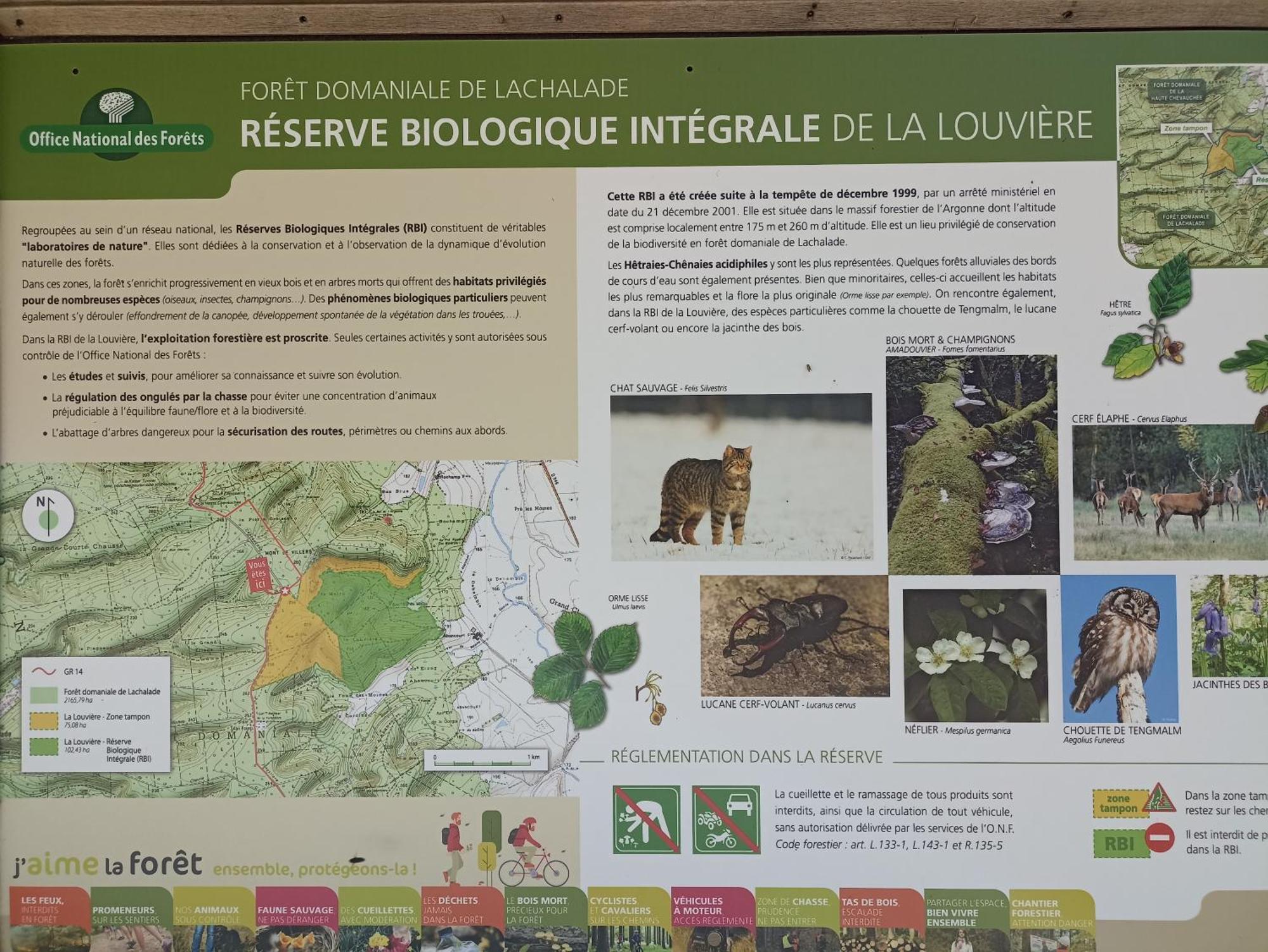 Gite Nature Et Detente Aubréville Kültér fotó