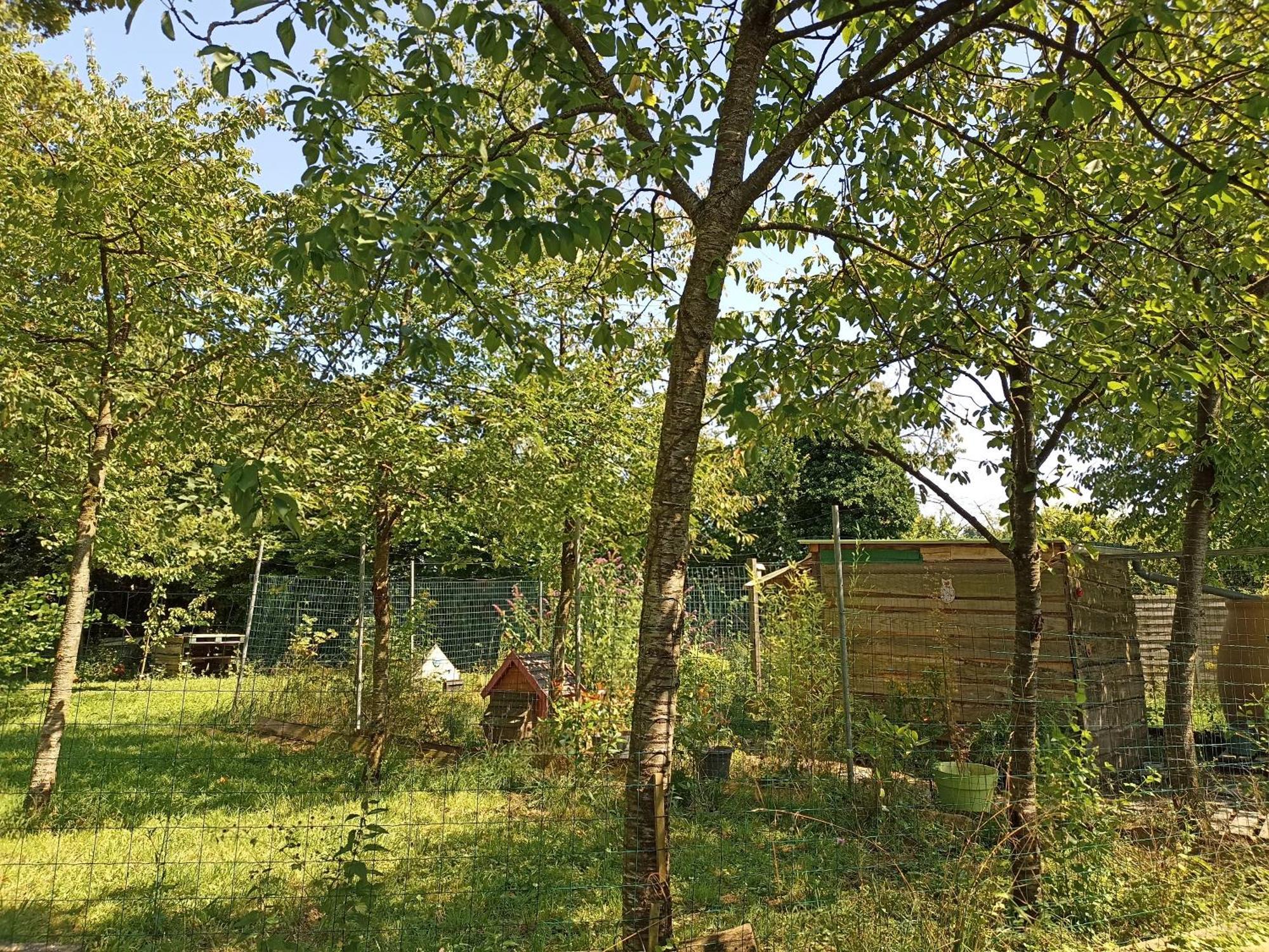 Gite Nature Et Detente Aubréville Kültér fotó