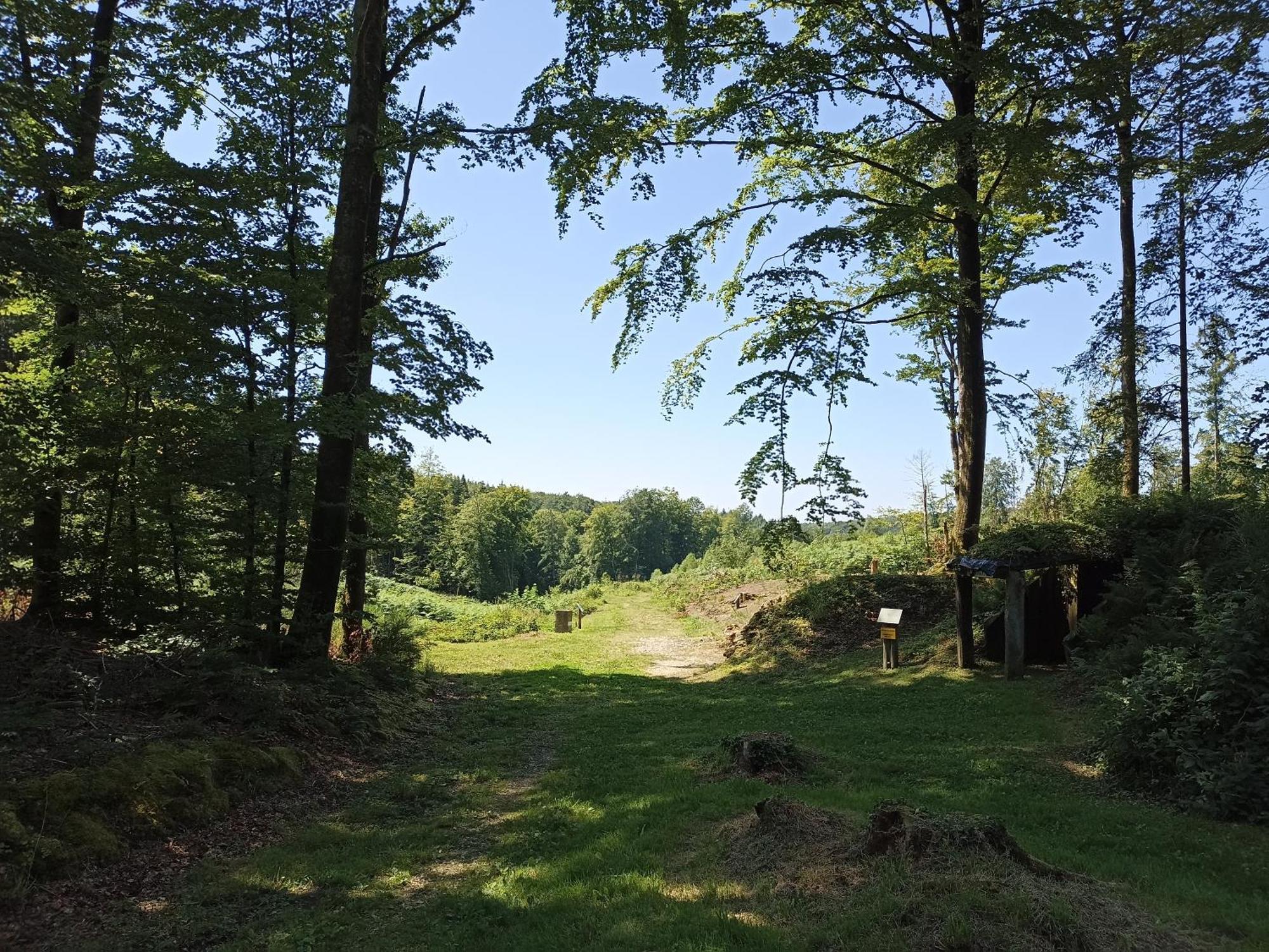 Gite Nature Et Detente Aubréville Kültér fotó