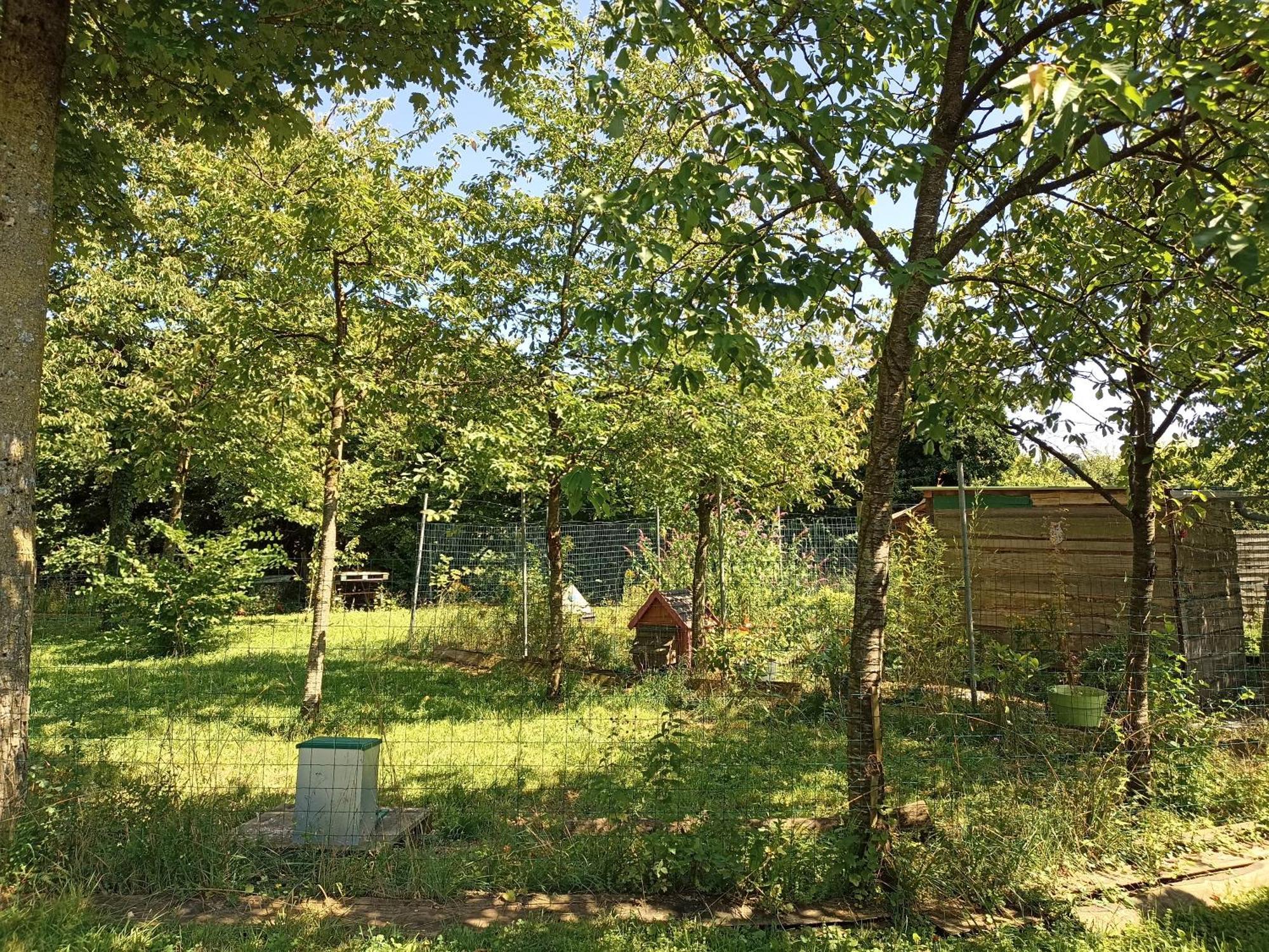 Gite Nature Et Detente Aubréville Kültér fotó