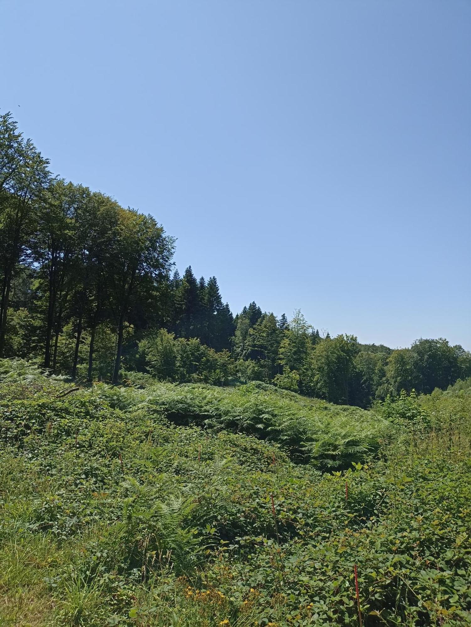 Gite Nature Et Detente Aubréville Kültér fotó
