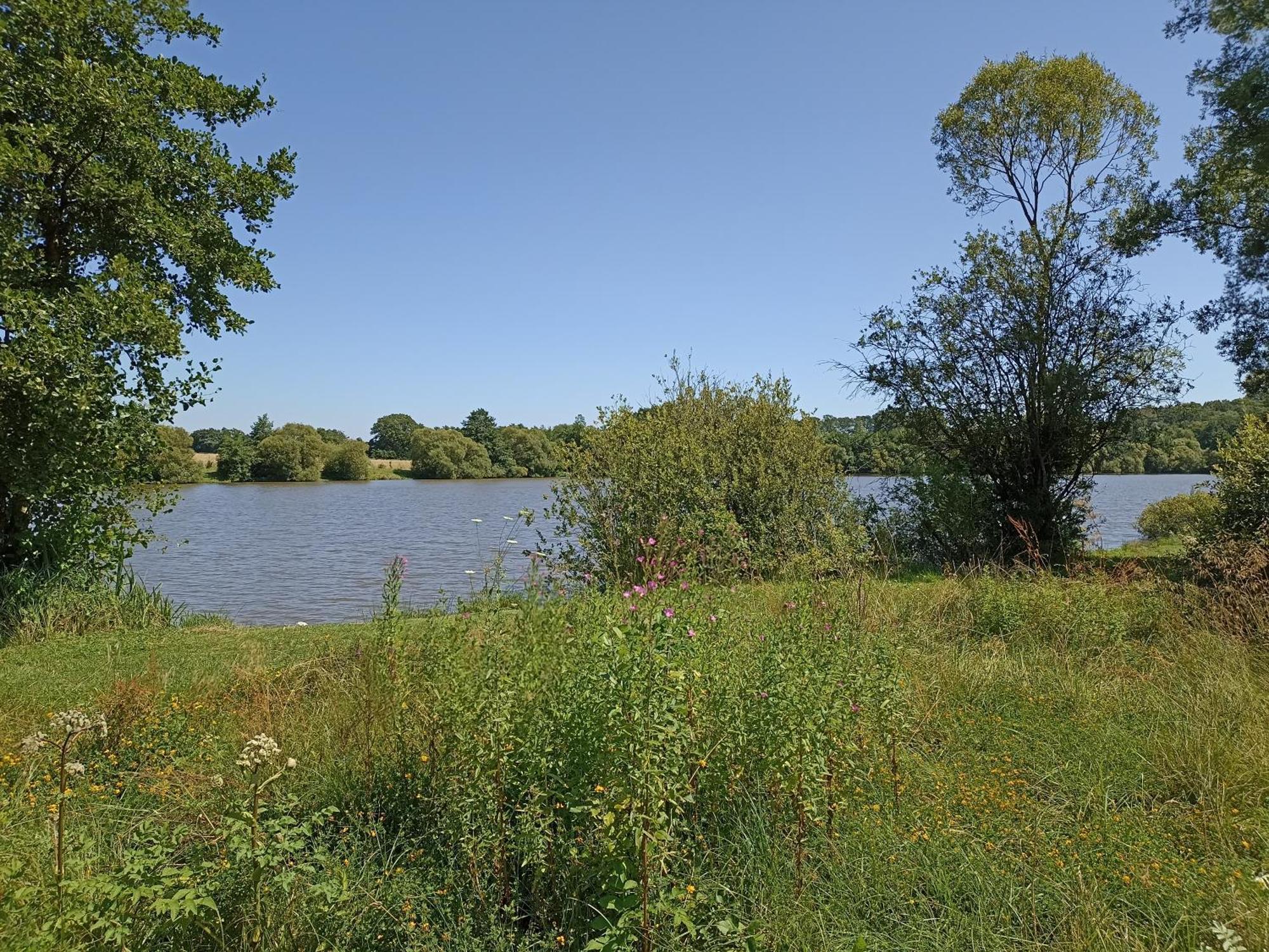 Gite Nature Et Detente Aubréville Kültér fotó