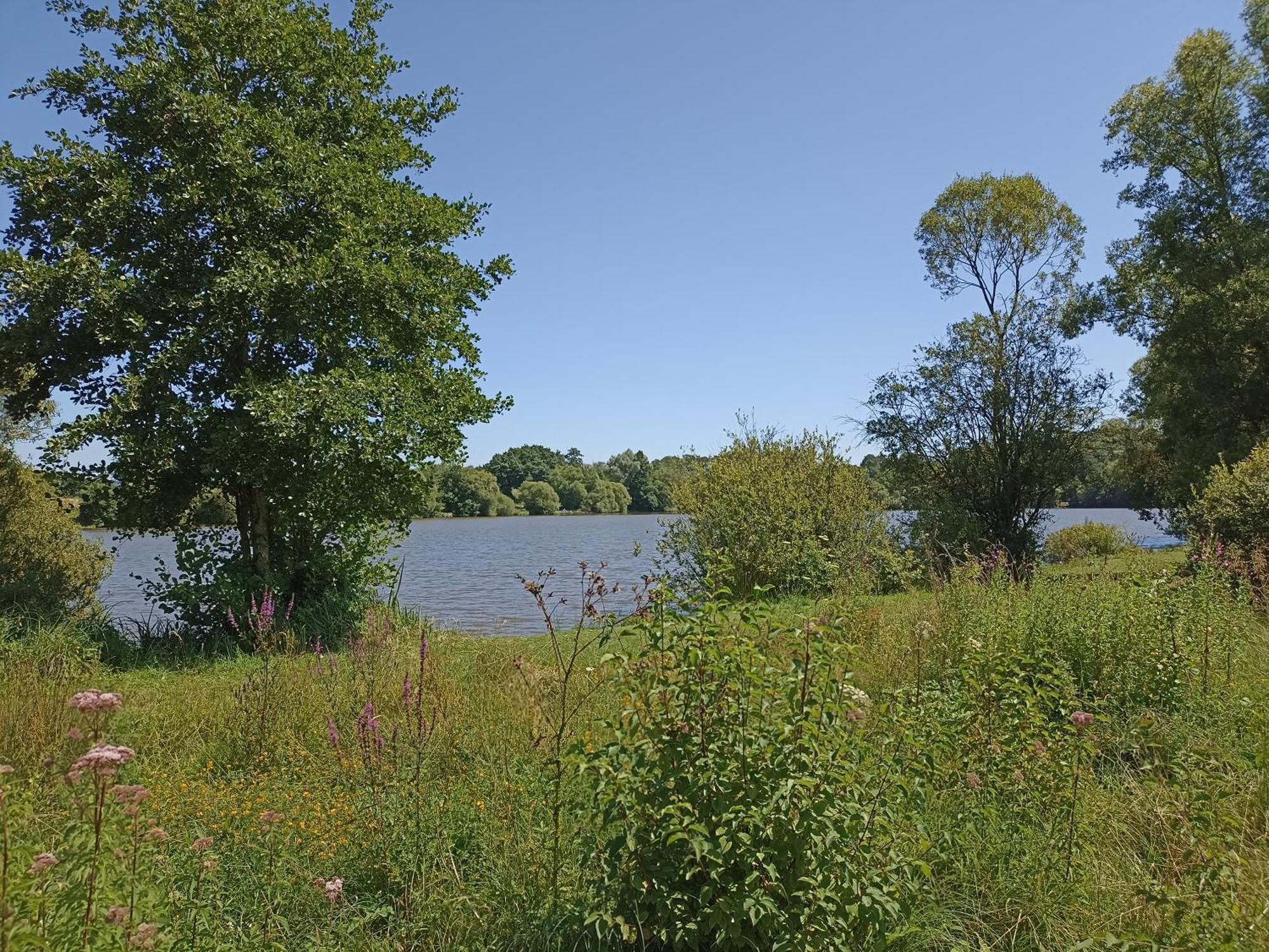 Gite Nature Et Detente Aubréville Kültér fotó
