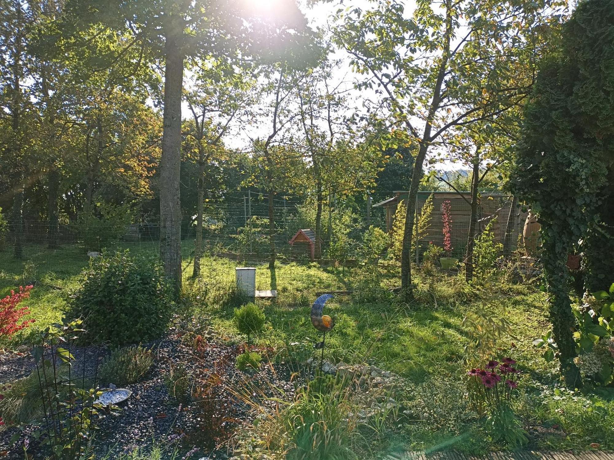 Gite Nature Et Detente Aubréville Kültér fotó